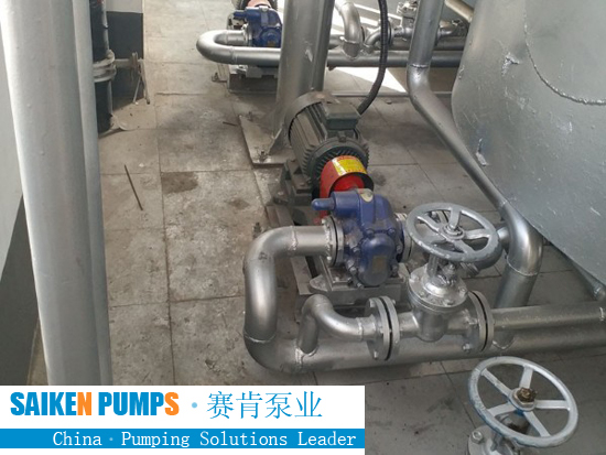 Is the 304 stainless steel gear pump rusty?