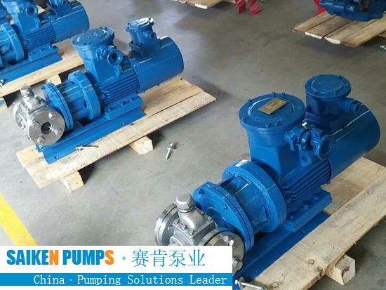 Customer purchases YCB0.6 stainless steel gear pump