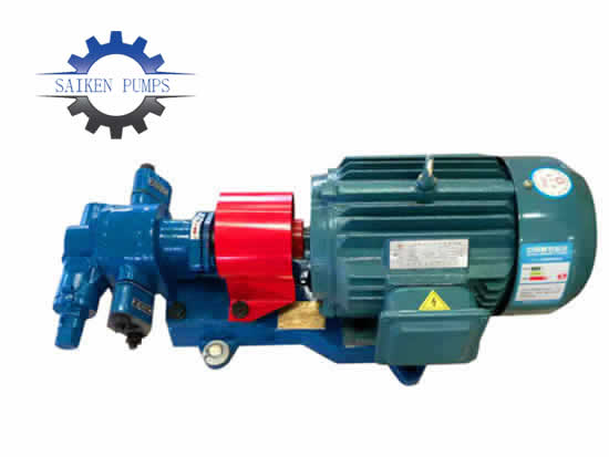 Stainless steel gear pump structure introduction